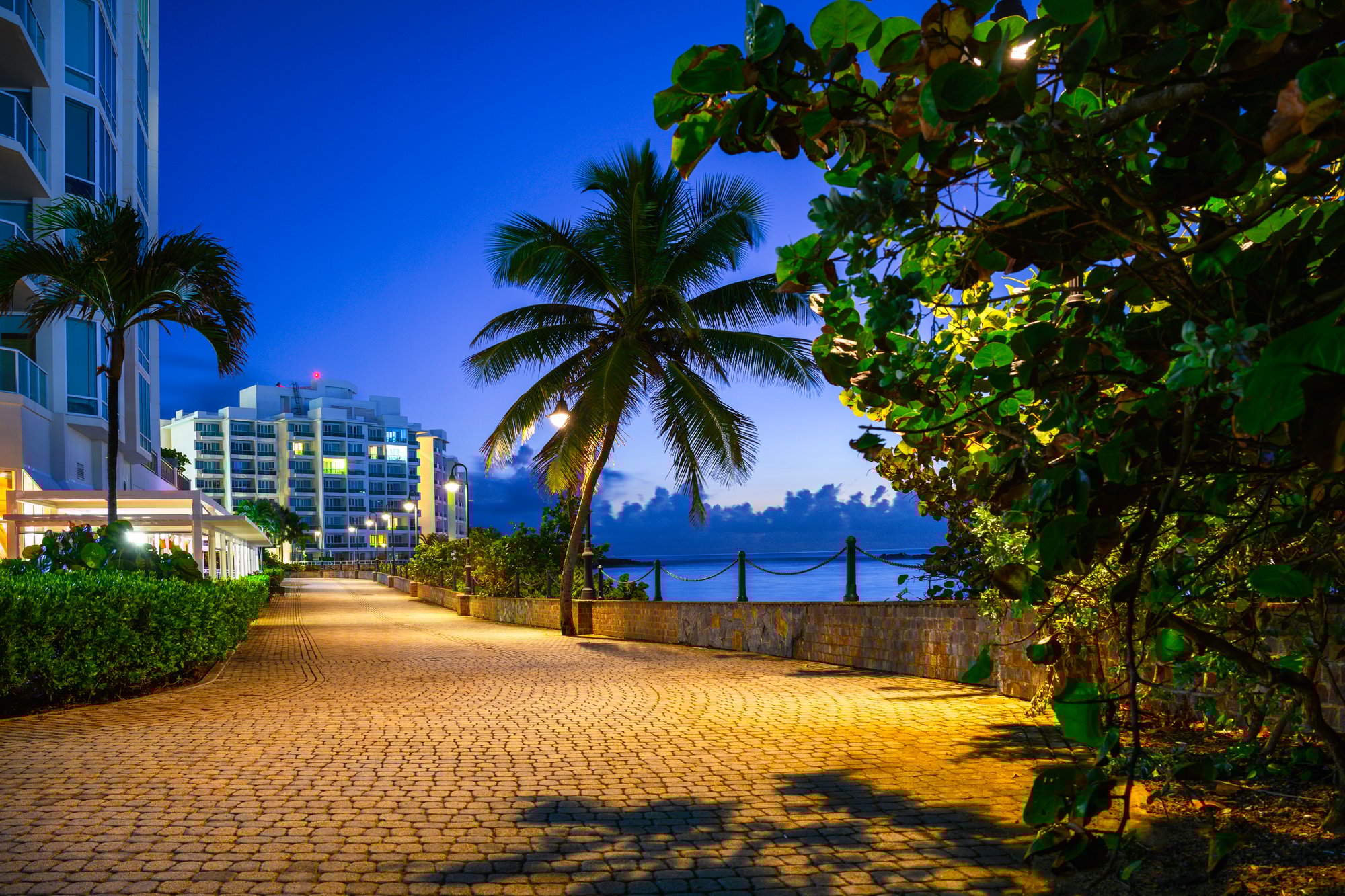 0825 iStock-2070760815 urban waterfront palms 0825 iStock-2070760815 urban waterfront palms