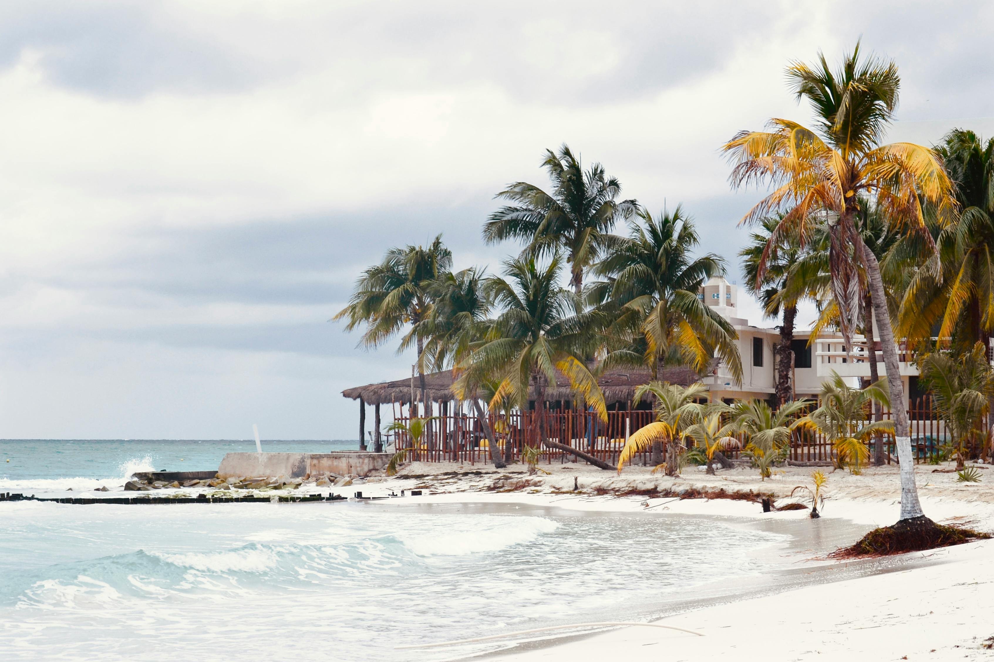 Beachfront House
